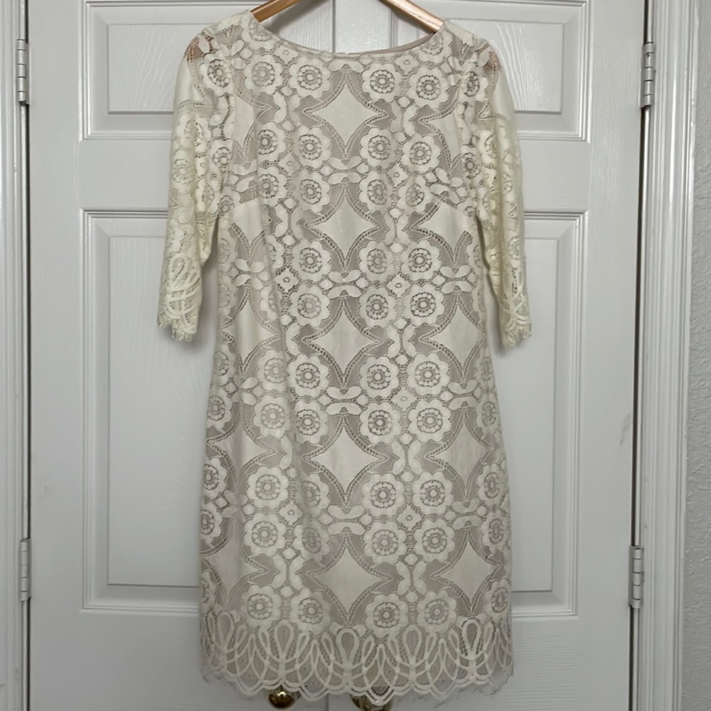 Eliza J Lace Shift Dress Ivory 8